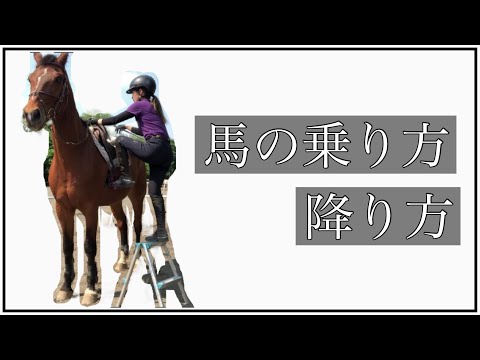 , title : '【馬の乗り方と降り方】乗馬体験/乗馬初心者/馬装'