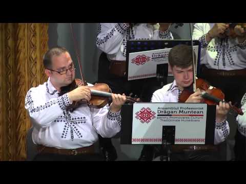 Orchestra Ansamblului Profesionist Drăgan Muntean
