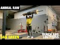 Animal Raw | Dan Green, Bench and Log Press