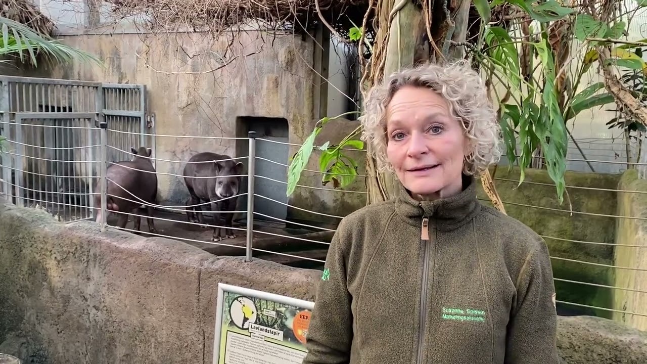 Susanne Solskov, Aalborg Zoo