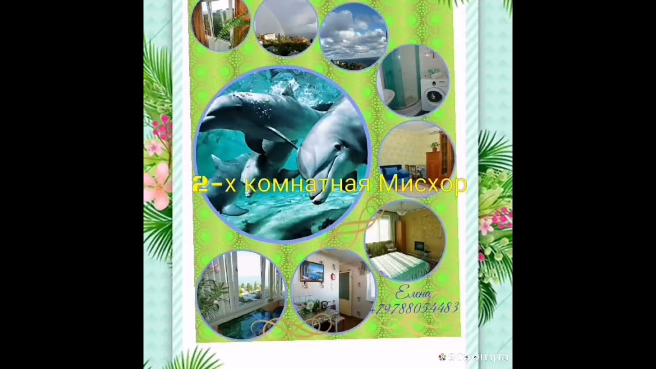Аренда жилья Мисхор|Алупка thumbnail