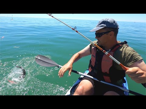 Bass on Lures from a Kayak with a very Special Pink Lure