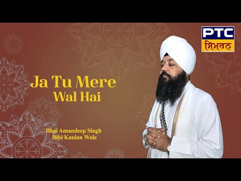 Ja Tu Mere Wal Hai