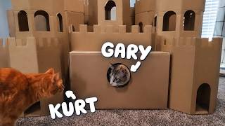 Download lagu Are Cardboard Boxes the Greatest Cat Toy of All Time? mp3