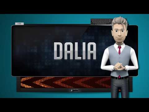 DALIA - How to say it Backwards