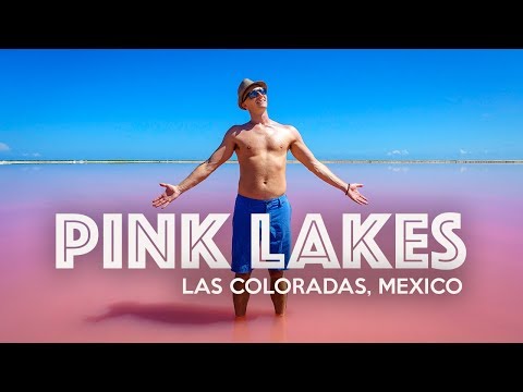 LAS COLORADAS PINK LAKE - Mexico