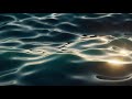 4K FULL HD Relaxing Water Background 1 HOUR Calm Water Wallpaper No Sound