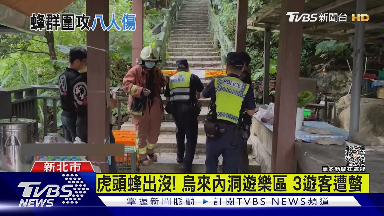 有虎頭蜂!8遊客赴石門登山遭螫 3人送醫