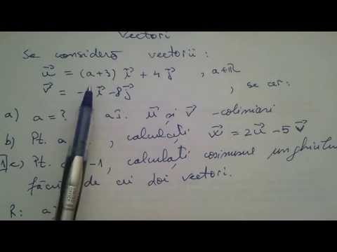 Vectors. Collinearity, operations, cosine of the angle of two vectors