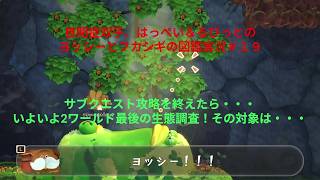 自閉症双子がヨッシーとフカシギの図鑑をやってみた　その１９
