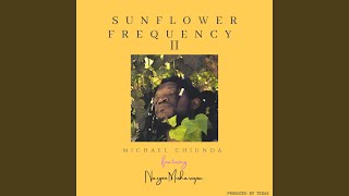 Sunflower Frequency II Music Video