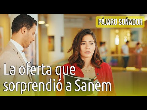 Pájaro soñador - La oferta que sorprendió a Sanem (Audio Español) | Erkenci Kus