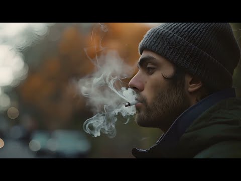 Mister You feat Marvelous - Retour aux sources (Visualizer)