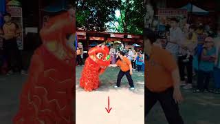 Download lagu LIAT BARONGSAI DI SAM POO KONG SEMARANG #happy #kids #family #holiday #shorts #short #viral #video mp3 Download lagu LIAT BARONGSAI DI SAM POO KONG SEMARANG #happy #kids #family #holiday #shorts #short #viral #video mp3