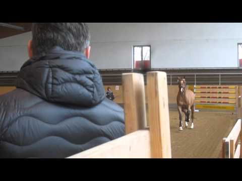 Caipirinha by Cash and Carry - Lord Z - Fasolt, *2013, licensing Munich Feb16