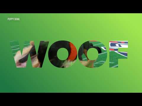 discovery+ | Stream TV Shows Video