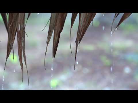 Khmer Flute for Relaxation & Sleep - ភ្លេងខ្លុយខ្មែរ កំដរអារម្មណ៍