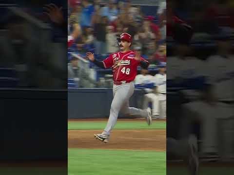 The Creoles of Caguas will play in the final. 🐴🤩 #ClashOfGiants