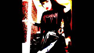 Nuit Noire  &quot;Faerie Punk&quot;