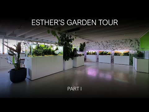 ESTHER'S GARDEN TOUR PART1 | MARCH 2022