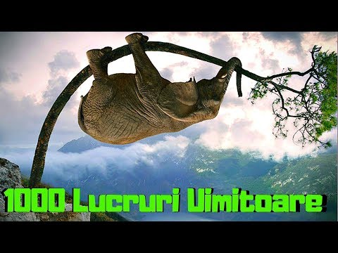 Top 1000 Lucruri UIMITOARE