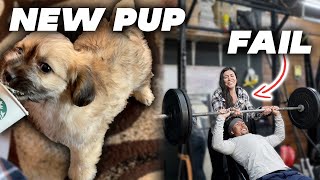 315 Front Squat PR | New Pup & Garage Gym Workout VLOG