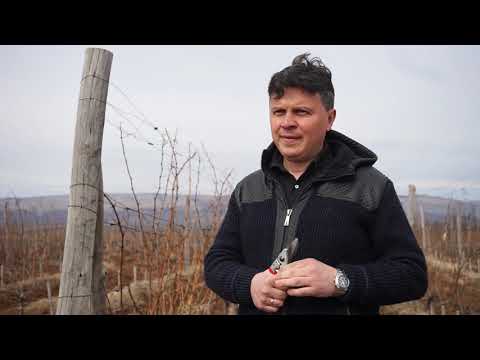 Autohtone vrste Srbije ep. 54 19.03.2020. - Crna tamjanika