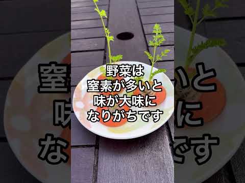 緑の植物のための自家製肥料 オリーブの木に窒素を加えて刺激し、葉、果物、花を刺激します