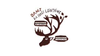 preview picture of video 'Logo Dans la forêt lointaine'