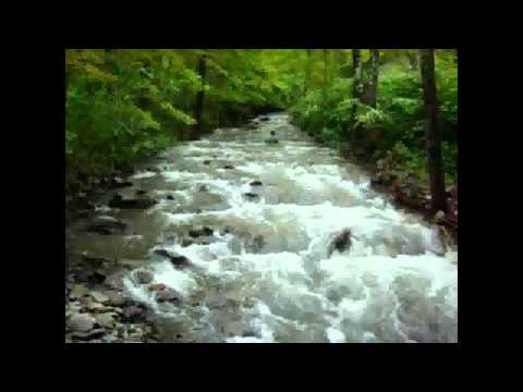 TJ Colatrella w/ Garth Hudson ~ Gypsy River ~