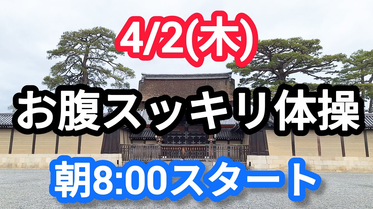 【初心者🔰大歓迎】お腹痩せ体操でキレイになりましょう🦥