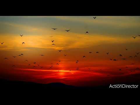 If you just believe - John Elefante