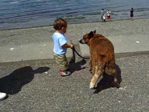 Kid Walking Dog on Alki