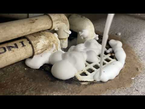 Treating Restaurant for Drain Flies in North Brunswick, NJ