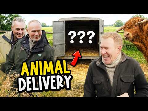 A Special Animal Delivery - Plus a Visit to Ted 🐂