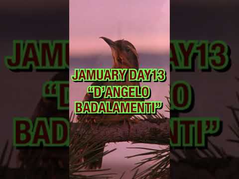 #jamuary2023  Day 13 - D’Angelo Badalamenti