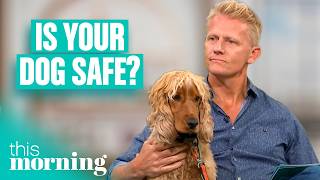 RSPCA Doggy Daycare Warning: How Safe is Your Dog? | This Morning