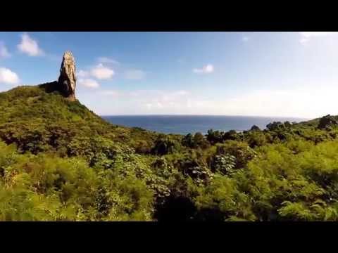 Reveillon Zé Maria 2016