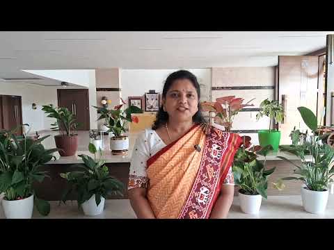 నూతన సంవత్సర సందర్భంగా జిల్లా కలెక్టర్ చదలవాడ నాగరాణి గారు జిల్లా ప్రజలందరికీ శుభాకాంక్షలు తెలిపారు.