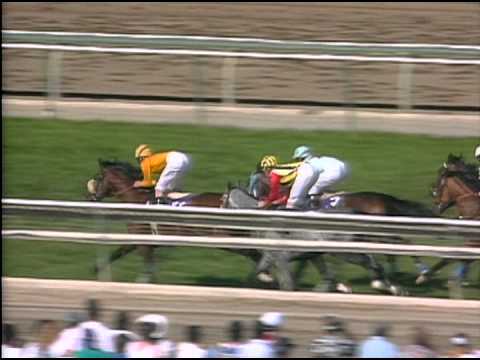 1993 Breeders' Cup Mile