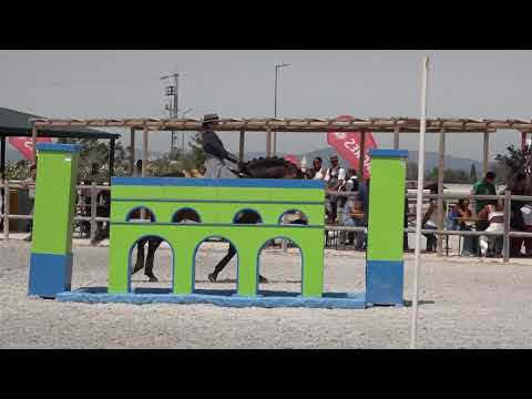 Maneabilidade - Nicole e Endiabrado