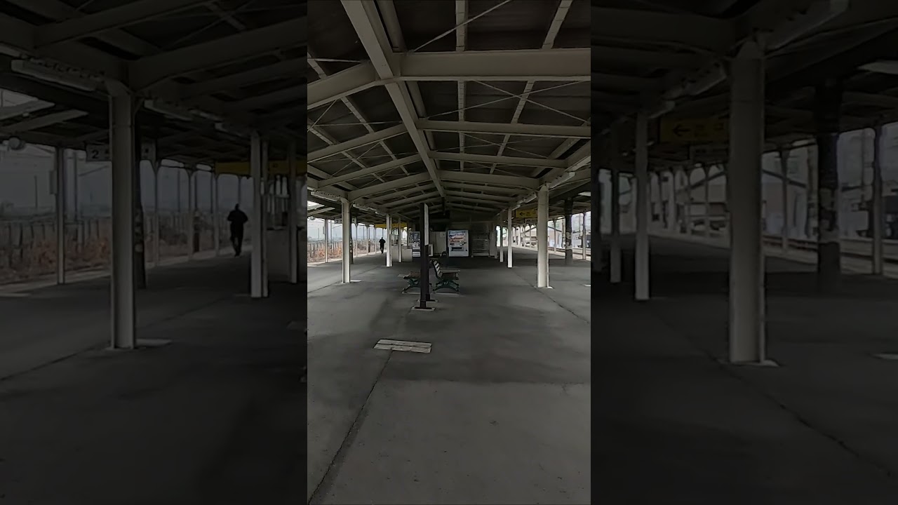 湖の島にある駅。ここはどこ？