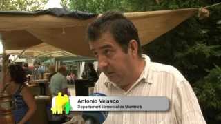 preview picture of video 'Fira de Cerveses artesanes i productes de proximitat, Quart De poblet 2013'
