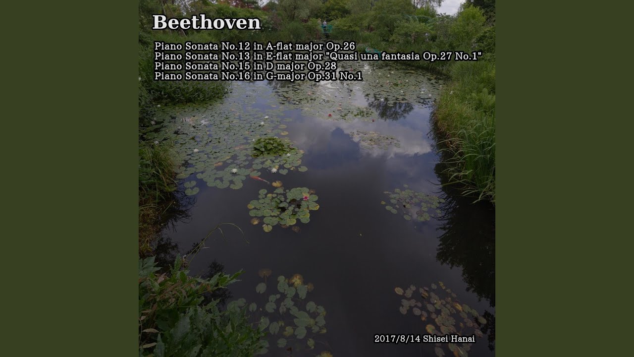 Beethoven Piano Sonata No. 13 in E-Flat Major, Op. 27, No. 1 'Quasi Una Fantasia': I. Andante