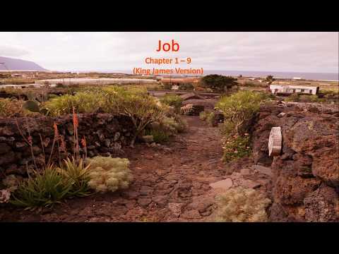 Job 1 - 9  (King James Version)