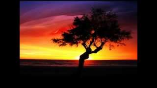 Il Cielo Sopra Il 2000 Lyrics English Translation