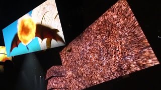 Game of Thrones Live HD - Dracarys -  Mhysa