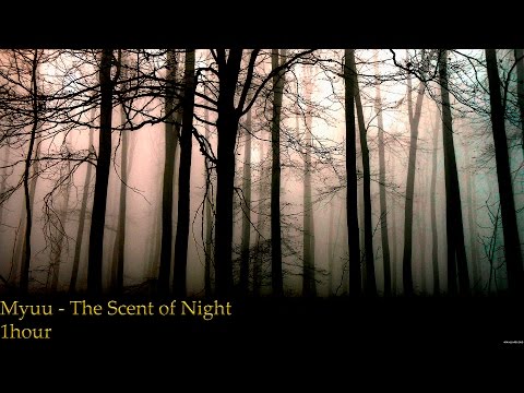 Myuu - Scent of Night | 1 HOUR