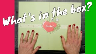 What's in This Gift Box From Ohuhu?