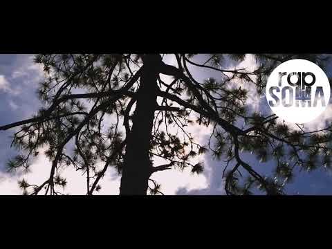 BSS A Firma   Me Alucina â™ªâ™« VIDEOCLIPE